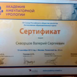 -skvortcov-sertifikat-2012jpg